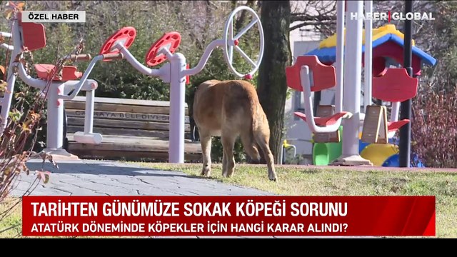 Atatürk sokak köpeği sorununu nasıl çözmüştü? İlber Ortaylı anlattı