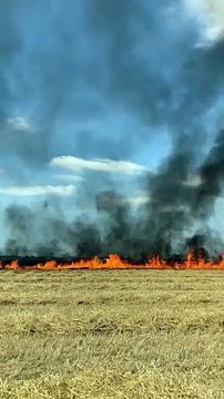 La manifestation contre les bassines dans la Vienne a été marquée par un incendie dans un champ.