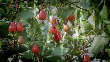 Định Mệnh Trùng Phùng - Tập 25 | Cập nhật mới nhất