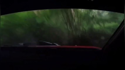 Rallye Vosges 2024 Astier and Bonato Two Crashes