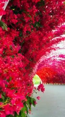 Laugh your way to happiness,laugh,smile,and enjoy,