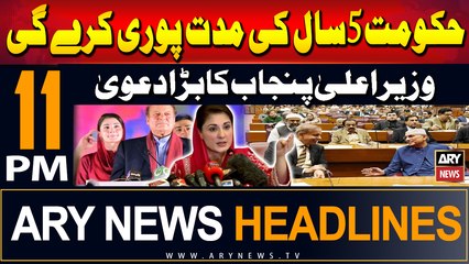 ARY News 11 PM Headlines | 19th July 2024 | CM Punjab's Big Claim
