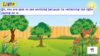 Light - Luminous And Non-Luminous Objects