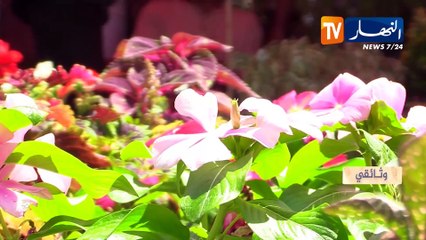 وثائقي: البليدة الوريدة»... بصمة الحضارة الأندلسية على مر التاريخ