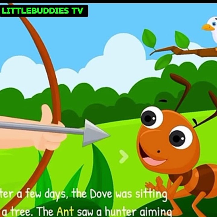 The Ant  & The Dove ️