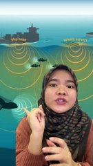 Fakta Menarik Ikan Paus