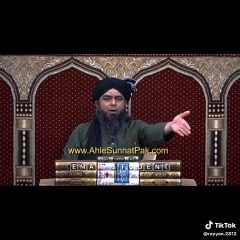 Islamic Lectures by Engineer Mohammad Ali Mirza