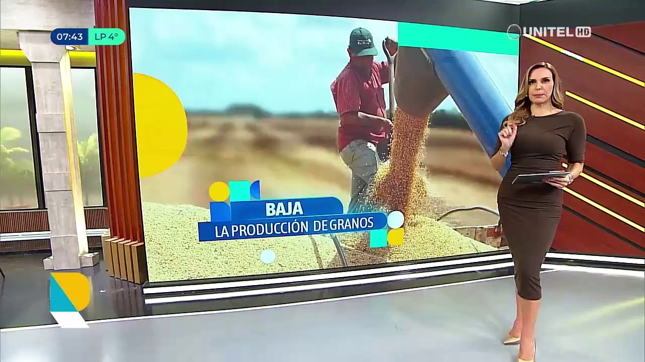 Gobierno admite que producción de granos tiene problemas y dice que maíz acopiado se distribuirá a pecuarios