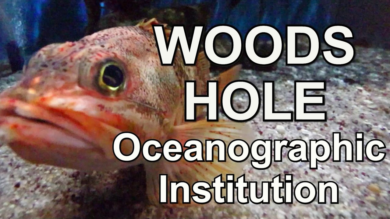Exploring The Depths: The Incredible World Of Woods Hole Oceanographic Institution