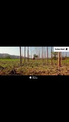 Laung Laachi Title Song | Mannat Noor | Ammy Virk, Neeru Bajwa,Amberdeep
