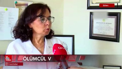 Türkiye'de ölümcül virüs uyarısı: Acil önlemler alınmalı