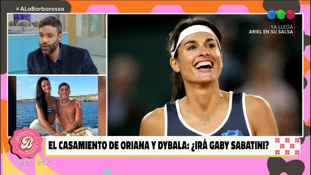 Vino paredes