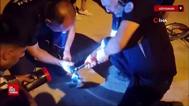 Adıyaman'da kafası boruya sıkışan yavru kedi güçlükle kurtarıldı