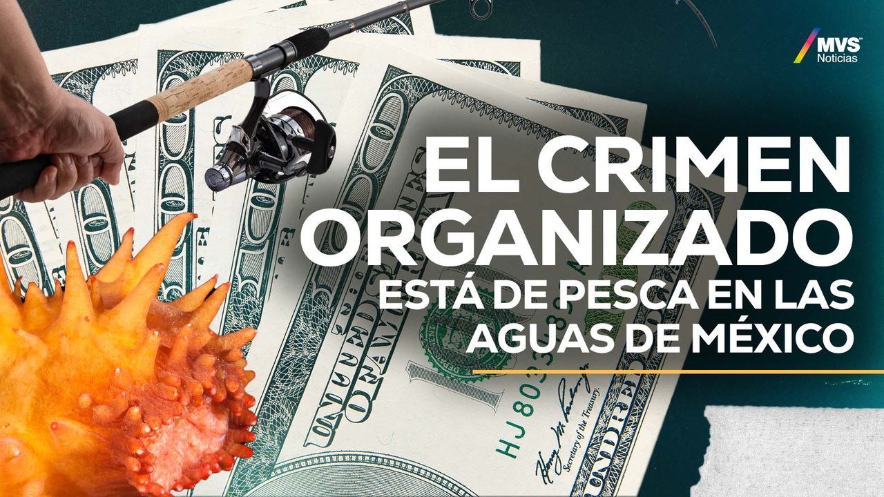 TRÁFICO DE ESPECIES: La nueva cara del CRIMEN ORGANIZADO en México