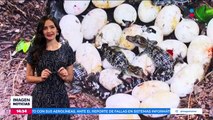 Nacen 60 cocodrilos siameses en Camboya