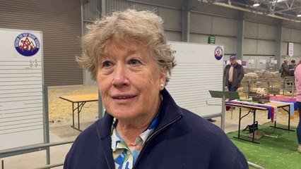 Liz Russell Predicts Impactful Winner at Hampshire Down Judging Event 🐑