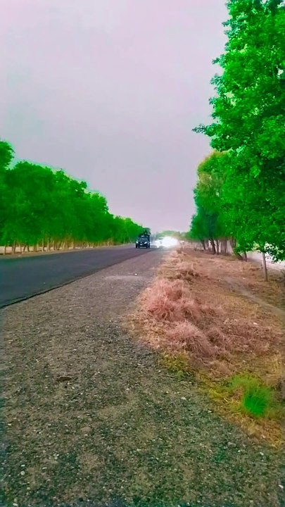 Rainy Season