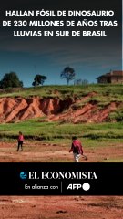 Hallan fósil de dinosaurio de 230 millones de años tras lluvias en sur de Brasil