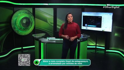 Maior e mais completo fóssil de estegossauro é arrematado por milhões de reais