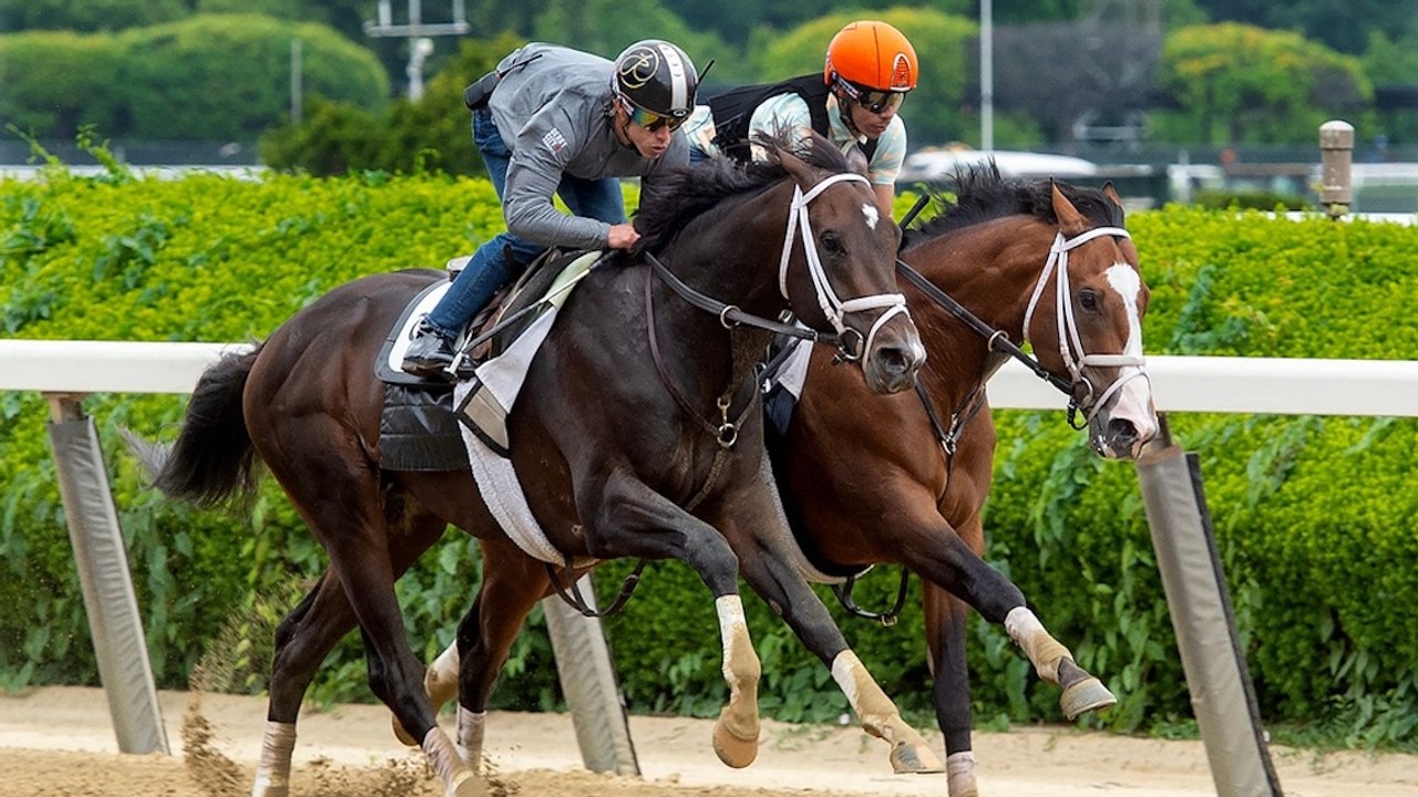 Changes in NJ Sports Betting Landscape: More Apps on Way