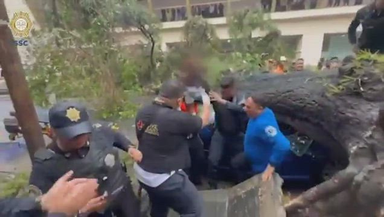 Rescatan a un niño sobrevivió luego de que cayera un árbol