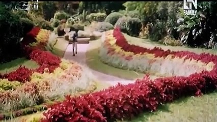 Kaleja Mera Veikh Cheer Ke - Saira Khan & Rambo - Pakistani Film Jungle Queen (2000) - Anwar Rafi