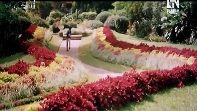 Kaleja Mera Veikh Cheer Ke - Saira Khan & Rambo - Pakistani Film Jungle Queen (2000) - Anwar Rafi