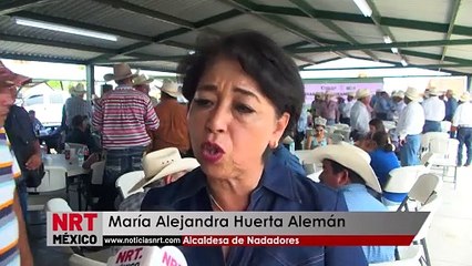 La federación hizo un recorte presupuestal de 2 MDP a Nadadores   _  NRT noticias