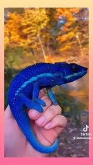 Most beautiful nature creations