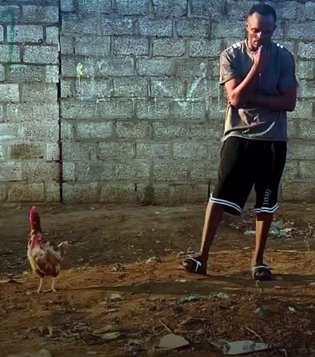 2024_winner_of_chicken_catching_Olympics__uD83D_uDE02_uD83D_uDC14_https___t.co_v6nWSDBlzA