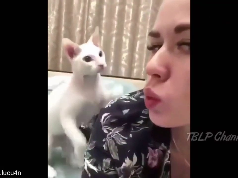 Just for fun