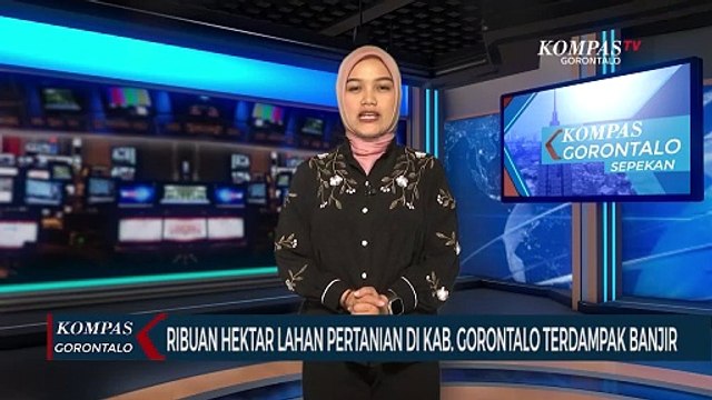 Ribuan Hektar Lahan Pertanian di Kabupaten Gorontalo Terdampak Banjir dan Luapan Danau Limboto