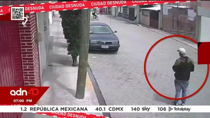 Muere mujer por caída de árbol en la colonia Nápoles en CDMX I Ciudad Desnuda