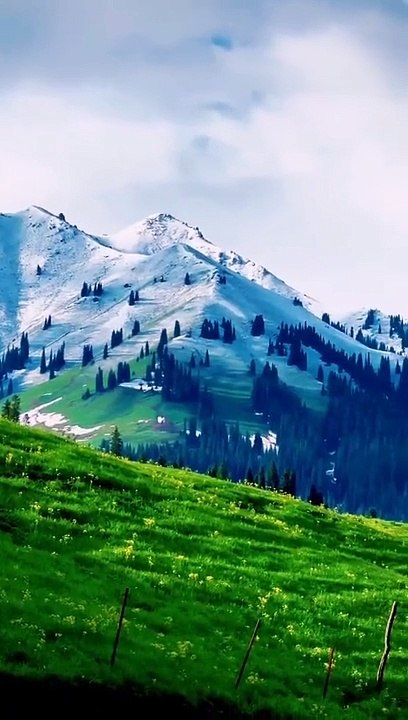 Kashmir videos