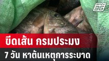 ปลัดเกษตรฯ ขีดเส้น กรมประมง 7 วัน หาต้นเหตุการระบาด | เที่ยงทันข่าว | 20 ก.ค. 67