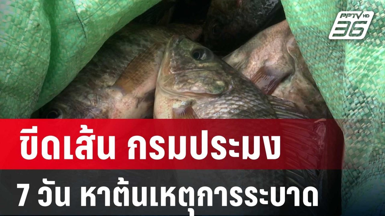 ปลัดเกษตรฯ ขีดเส้น กรมประมง 7 วัน หาต้นเหตุการร...