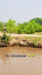 Entertainment funny and comedy videos