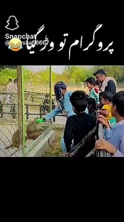 Funny video