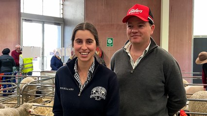 Supreme Corriedale exhibit winners | Stock & Land