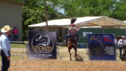 EXPO ÁRABE 2013 - ARTUR NOGUEIRA - PROVA 3 TAMBORES (P2)