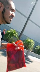 Best Surprise Ever! Man Meets His Adorable New Bulldog BFF!