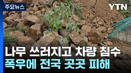 도로에 나무 쓰러지고 차량 침수...강한 비로 곳곳 피해 / YTN