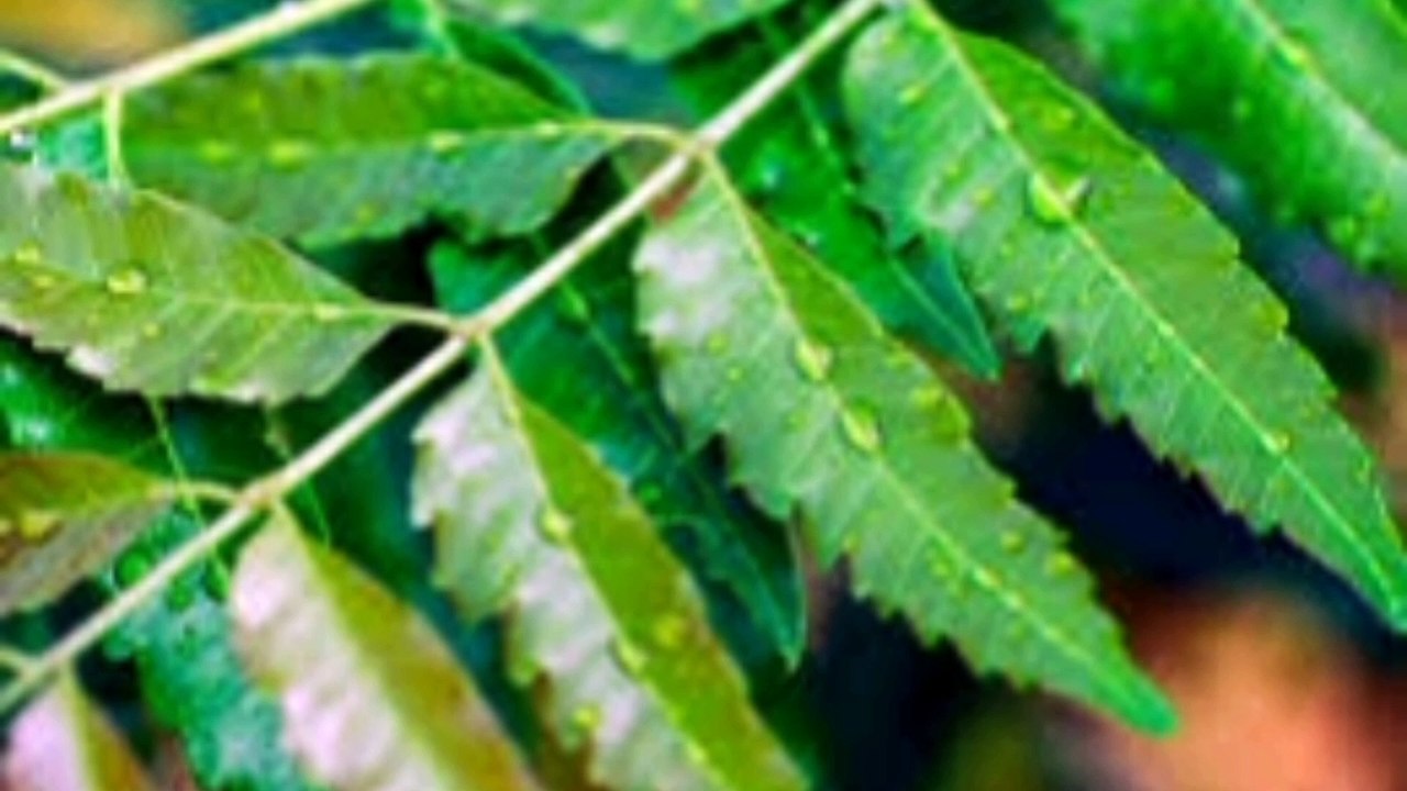 How to get rid of heat rash