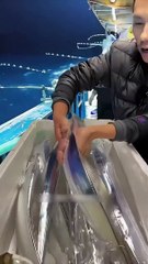 Böyle balıklarda var: Gece fener gibi parlıyor!