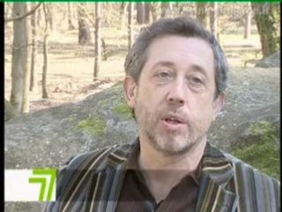 Barbizon : les peintres de la forêt