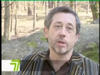 Barbizon : les peintres de la forêt