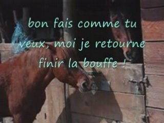 Eden le cheval qui ouvre les portes