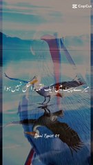 Quran tilawat allahoo akbar