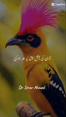 Quran tilawat allahoo akbar