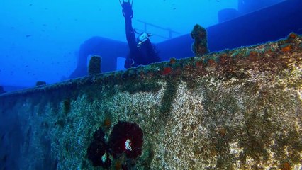 This Person Survived 2 Days under Oil Pipeline _HD